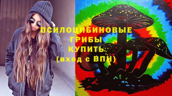 сатива Алексин