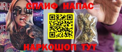 молекула духа Новозыбков