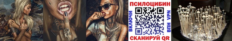 Псилоцибиновые грибы Psilocybine cubensis  Чайковский 