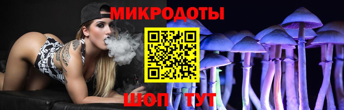 Галлюциногенные грибы мухоморы Чайковский