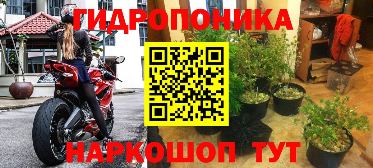 Марихуана сатива Чайковский